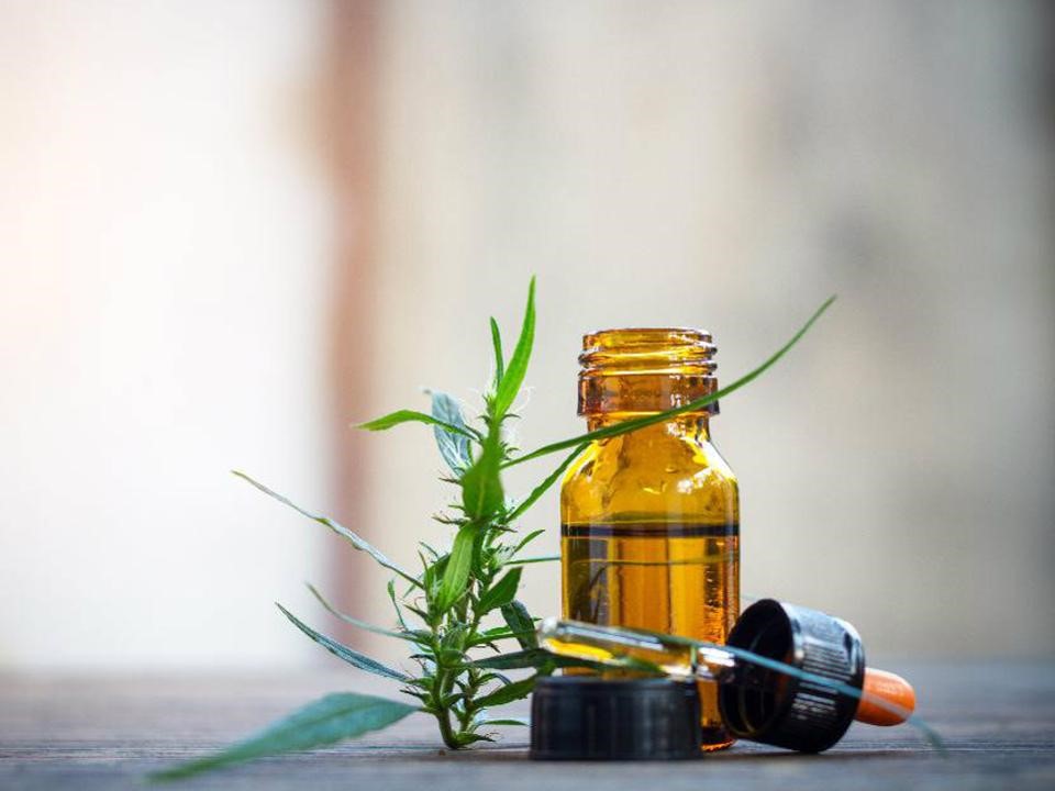 CBD 
      Oil Orange Flavor Buford 
      OH 45110